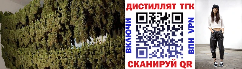 ТГК Wax  ОМГ ОМГ как войти  Серов 